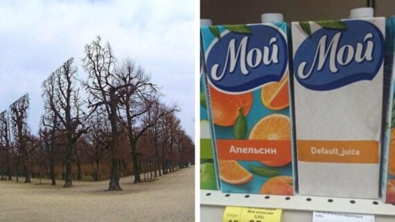 On the left, oddly pruned leafless trees in a park. On the right, two juice cartons: one labeled “Orange” in Russian, the other humorously labeled “Default_juice.”