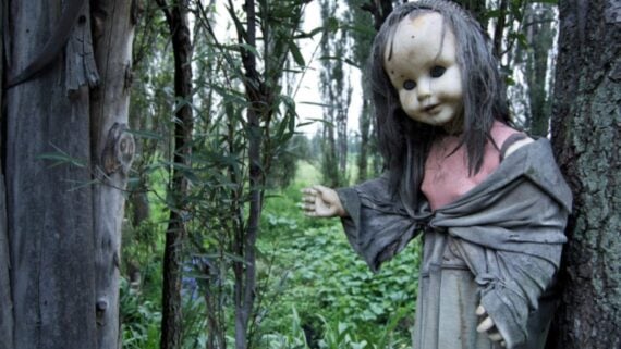 A weathered, old doll with missing eyes and tattered clothing is hanging from a tree in a dense, green forest, creating an eerie atmosphere.