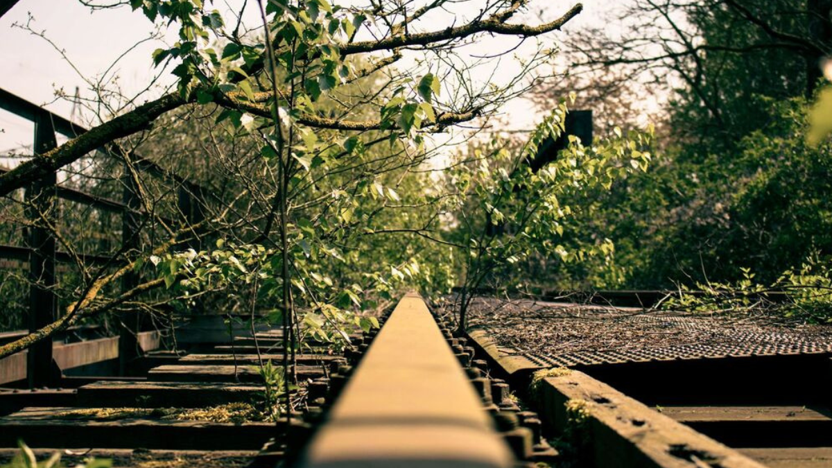 18 Unexpected Ways Humans Helped Nature Without Trying 18-unexpected-ways-humans-helped-nature-without-trying