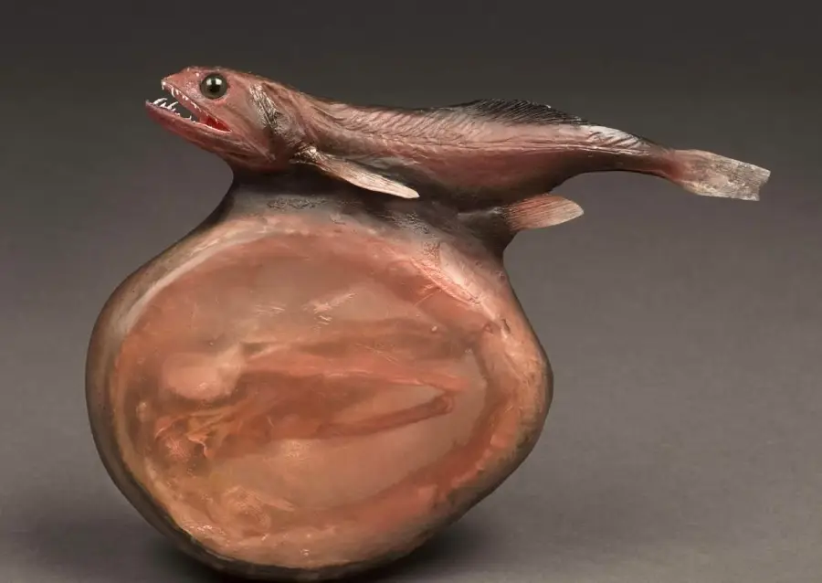 A model of a deep-sea fish with sharp teeth sits atop a large, round, translucent sac, revealing a faint fish shape inside. The background is plain and dark.