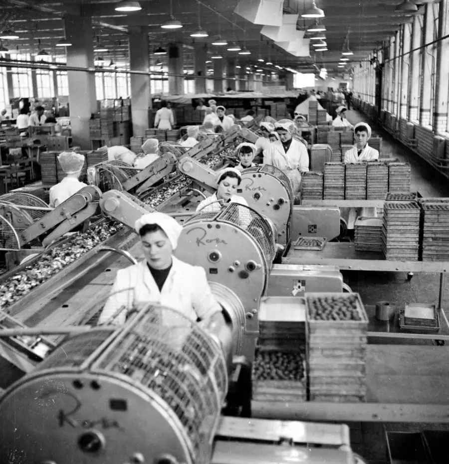Black and white photo of workers in uniforms and hairnets operating machinery and sorting items along conveyor belts inside a large factory with many windows.