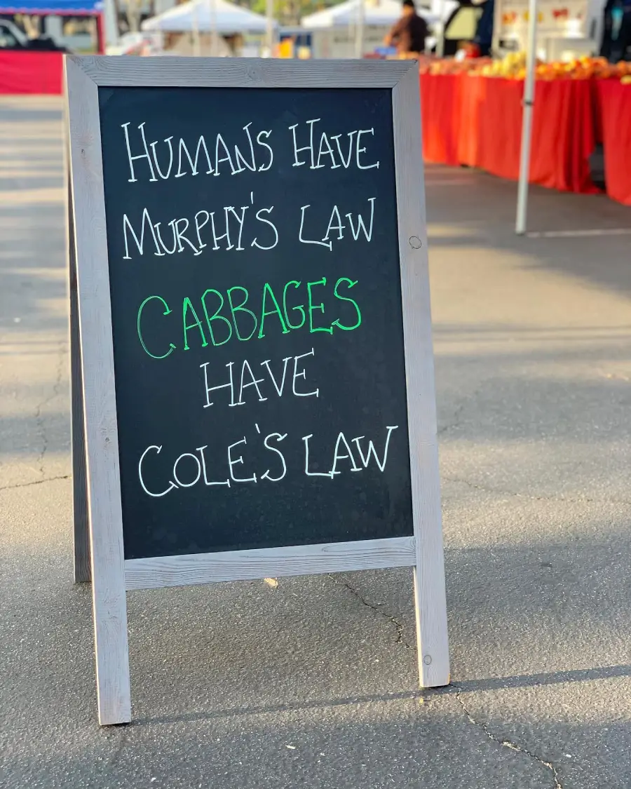 A chalkboard sign at an outdoor market reads: “Humans have Murphy’s Law. Cabbages have Cole’s Law.” Red market stalls are visible in the background.