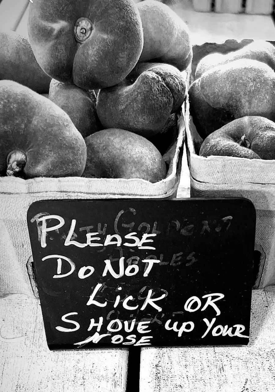 Black and white photo of baskets of peaches with a sign that says, “Please do not lick or shove up your nose.”