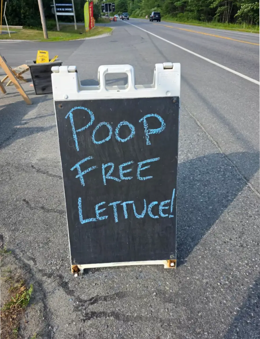 A chalkboard sign on a roadside reads, “POOP FREE LETTUCE!” in large blue letters. The sign stands on pavement with a road and some greenery visible in the background.
