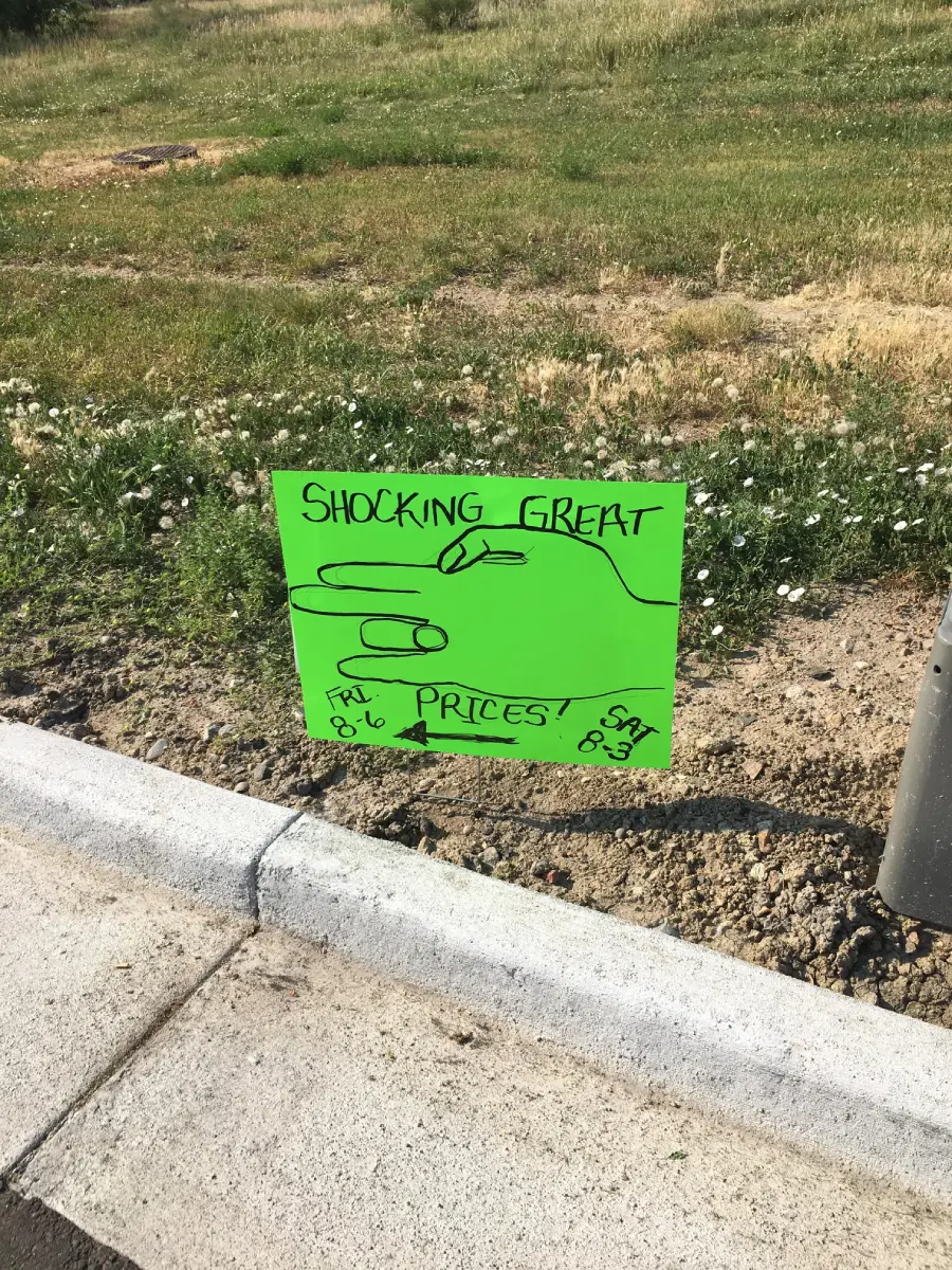 Hand-drawn sign on green paper by a roadside reads “Shocking Great Prices!” with an illustration of an electrical cord and sale dates: Fri 8-6 and Sat 8-3. Wildflowers and grass are in the background.
