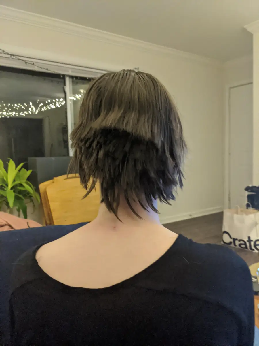Person with short, layered hair seen from behind. The hair is unevenly cut, with a distinct horizontal line and choppy layers. They are indoors, with a plant and a “Crate” bag visible in the background.