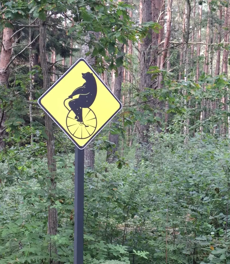 Yellow caution sign in a forest showing a silhouette of a bear riding a bicycle. Dense green trees and plants surround the sign.