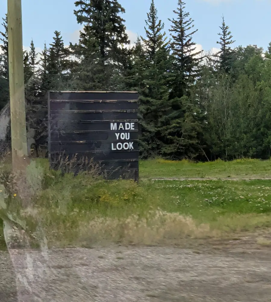 A black sign by the roadside in front of trees displays white block letters that read “MADE YOU LOOK.”