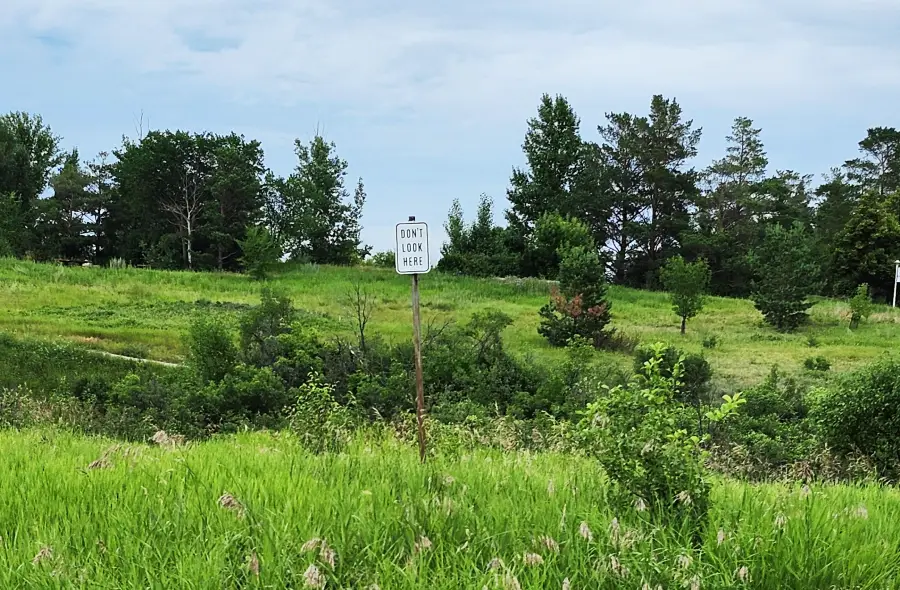 A grassy field with scattered trees and a sign in the center reading “DON’T LOOK HERE” against a cloudy sky.