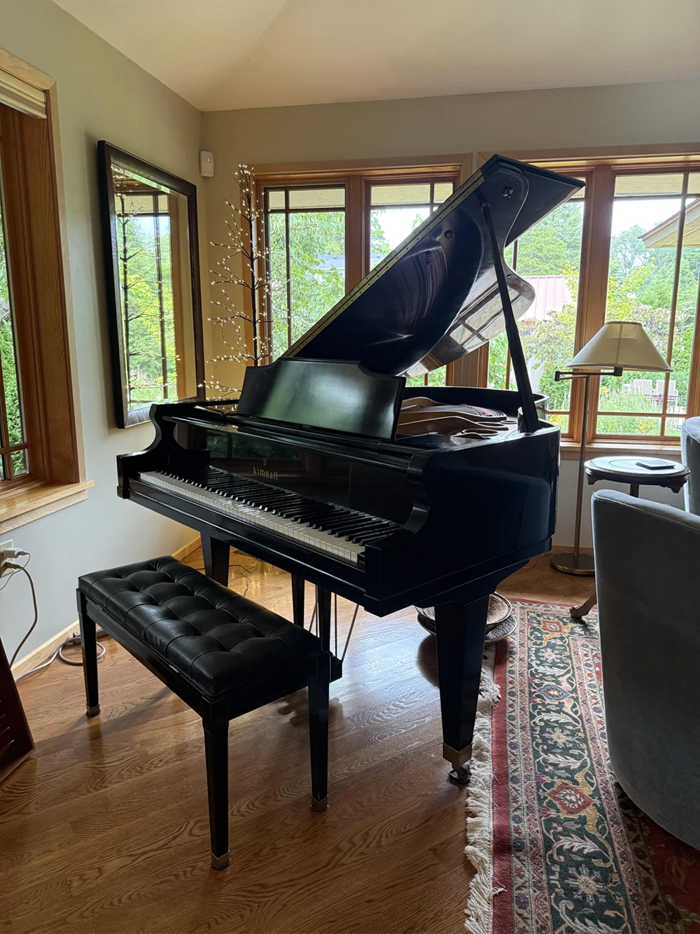 A black grand piano with a matching bench sits on a wooden floor near large windows, letting in natural light. A rug and gray chair are nearby, and a decorative light stands in the corner.