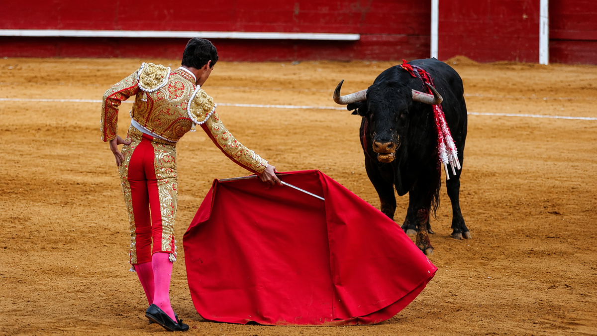 A matador in an ornate suit holds a red cape in front of a black bull in a bullring with a red wall and sandy ground.