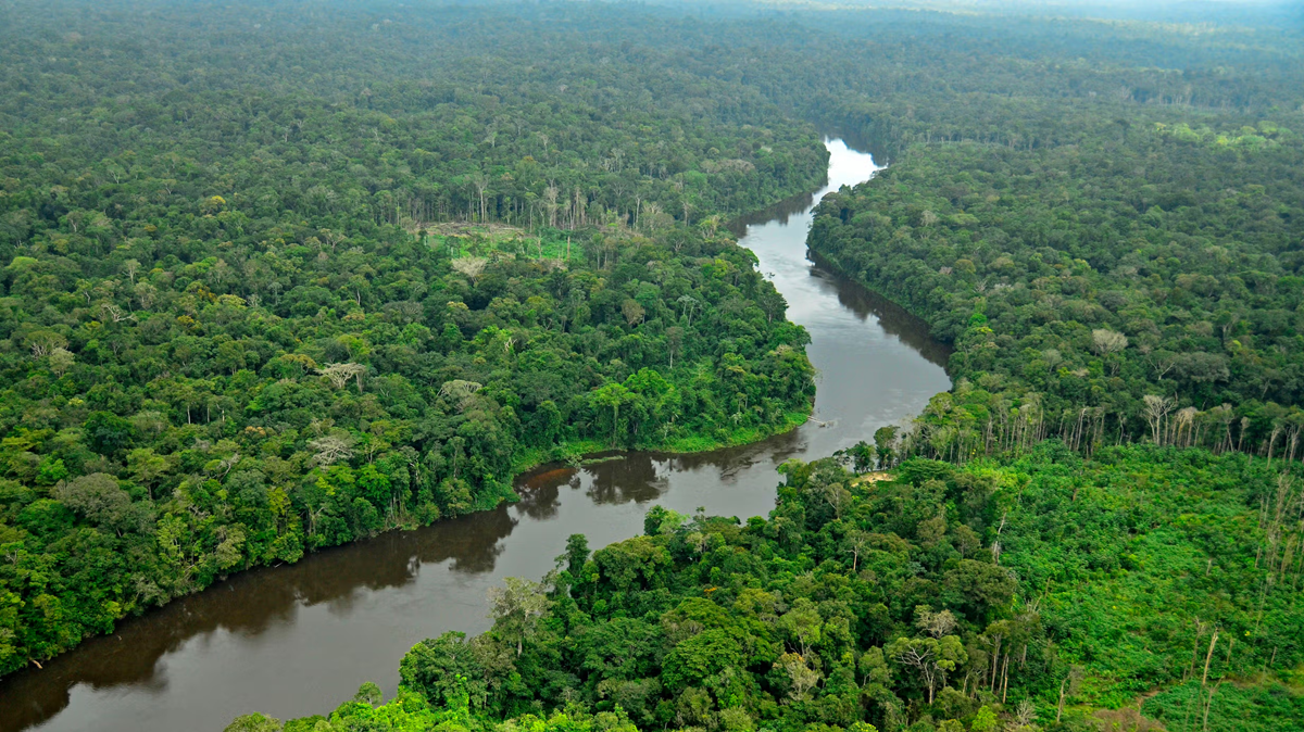 A winding river flows through dense, lush green rainforest under a cloudy sky, with thick tree canopy stretching into the distance.