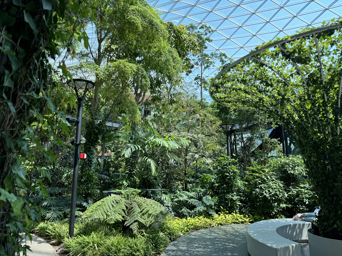 Indoor garden with lush green plants, ferns, and trees under a glass dome ceiling. Curved benches and a lamp post are visible, creating a tranquil, modern space. Sunlight filters through the geometric roof above.