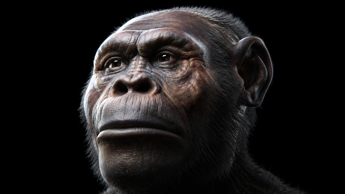 A realistic 3D rendering of an early human ancestor’s face, showing pronounced brow ridges, deep-set eyes, broad nose, and coarse facial hair, with a neutral expression against a black background.
