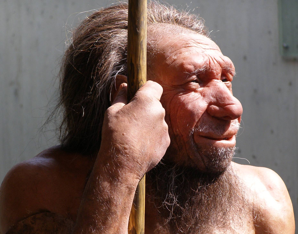 A realistic model of a Neanderthal man with long hair and a beard holds a wooden stick, gazing thoughtfully to the side.