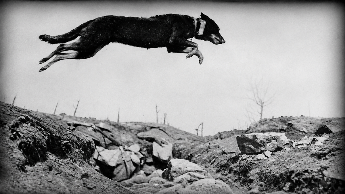 A black and white photo of a dog mid-jump over a rocky ditch, with barren land and leafless trees in the background.