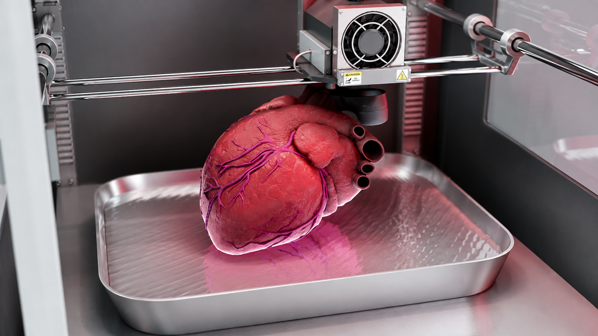 A realistic artificial human heart is being 3D printed by a machine, resting on a metal tray inside the printer.