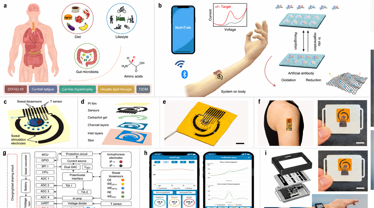 A collage showing wearable health sensors, smartphone apps, body diagrams, molecular charts, flexible circuit patches, and device prototypes for monitoring and analyzing health data.