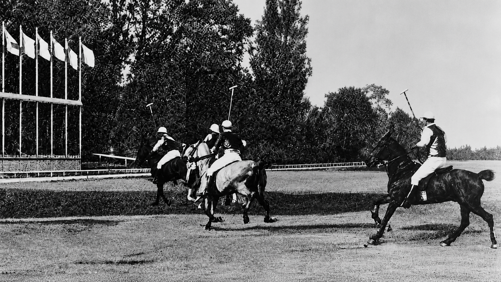 Four polo players on horseback chase a ball on a grass field, surrounded by trees. White flags fly on poles in the background. The image is in black and white.
