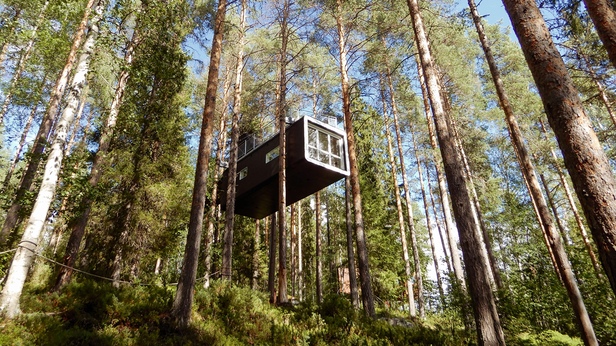 A modern, rectangular treehouse with large windows is suspended among tall pine trees in a forest under a blue sky.