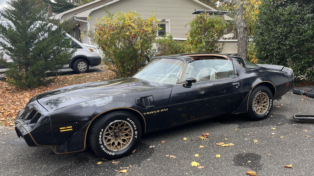 A black Pontiac Trans Am with gold rims is parked on a driveway. Fallen leaves are scattered around, and a house with shrubs is in the background.