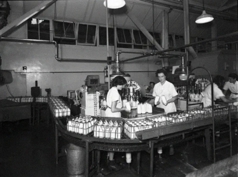 Black and white photo of women working on an assembly line, packaging bottles of milk in a factory setting. Conveyor belts and industrial lighting are visible.
