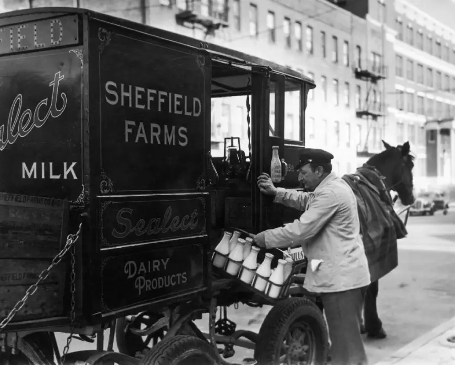 A milkman stands by a horse-drawn delivery wagon labeled “Sheffield Farms,” holding a milk bottle. The cart is filled with glass milk bottles. City buildings are visible in the background.