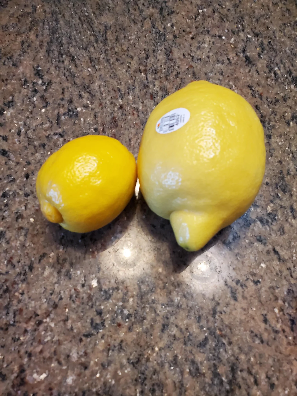 Two yellow lemons sit on a speckled brown countertop; one lemon is smaller and more rounded, while the larger lemon has a sticker and an irregular, pointed end.