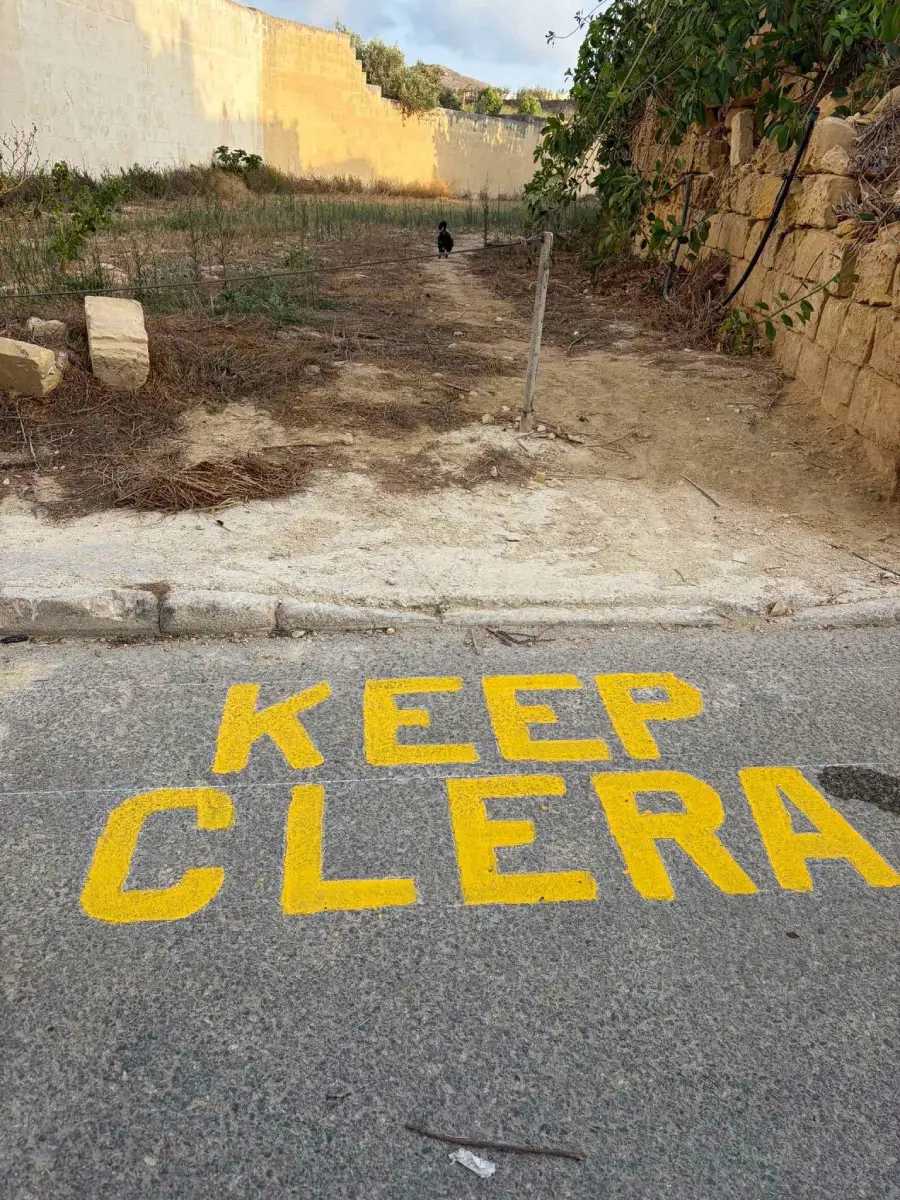 Yellow letters on pavement say “KEEP CLERA” instead of “KEEP CLEAR.” The words are at the entrance of a narrow, overgrown alley with stone walls and scattered debris. A black cat is visible in the distance.