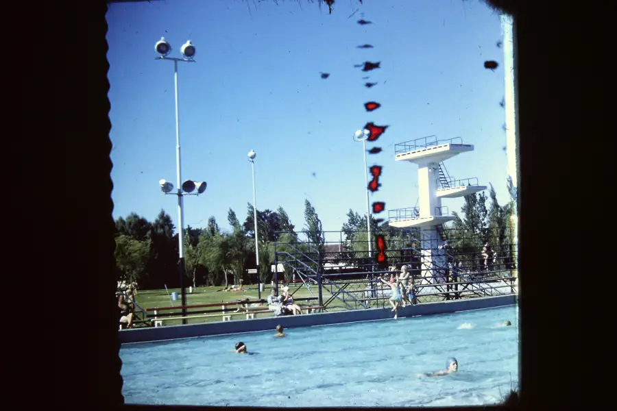 Outdoor public swimming pool with people swimming and sunbathing, a tall diving platform in the background, and some damage or marks visible on the image. Trees and lights surround the pool area under a clear blue sky.