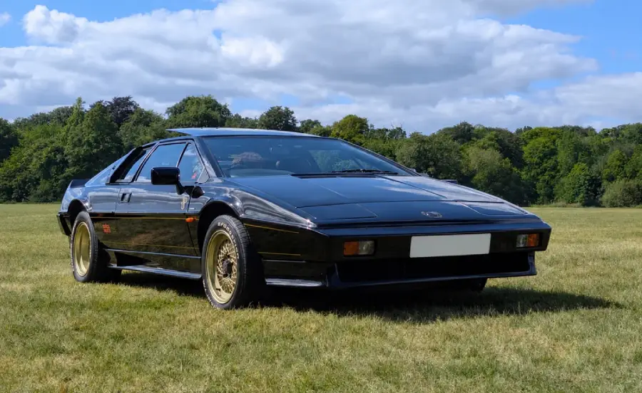 A black classic sports car with gold wheels is parked on grass, with trees and a blue sky with scattered clouds in the background.