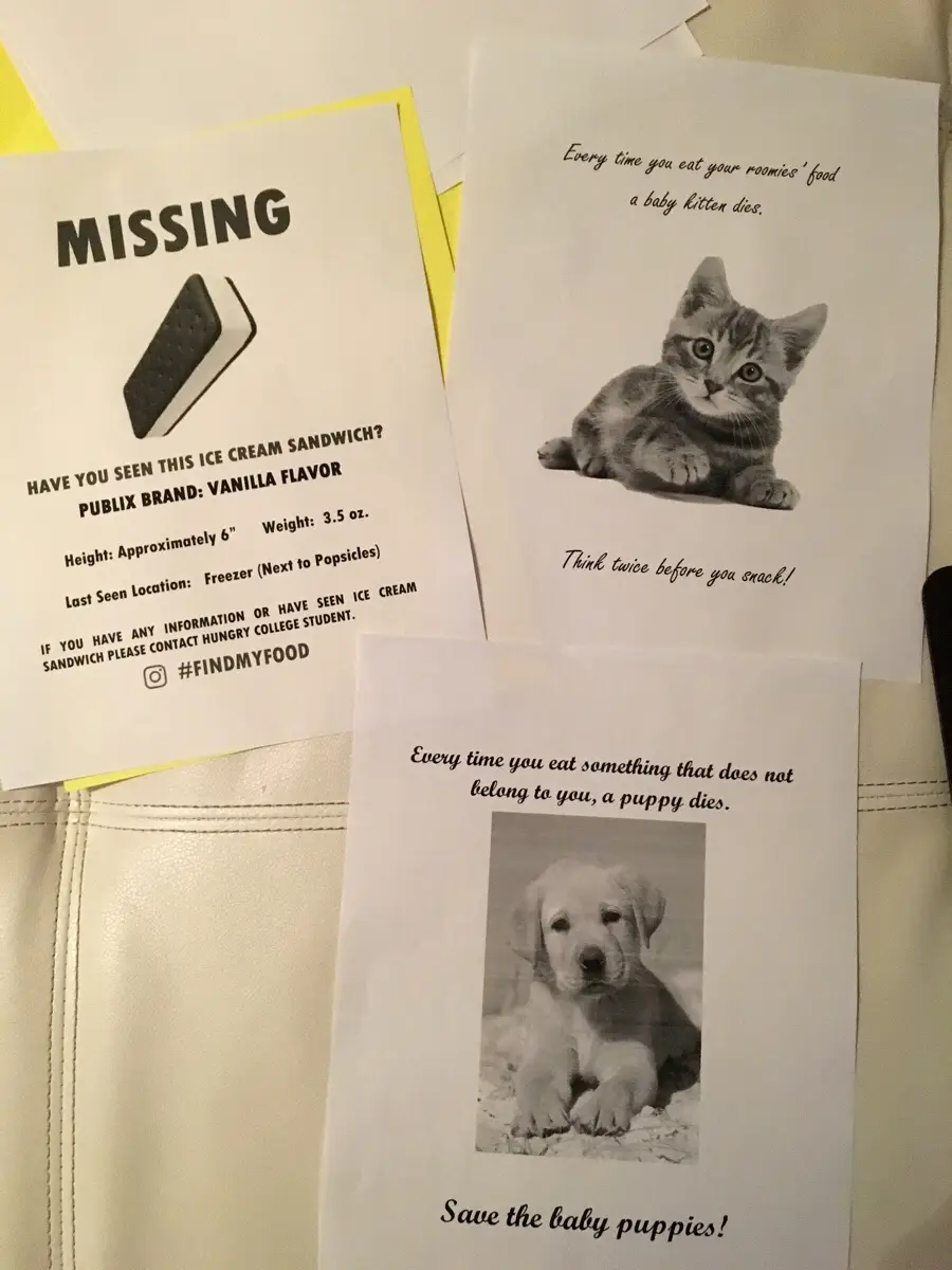 Three papers: a missing ice cream sandwich flyer, one with a kitten warning about eating others’ food, and another with a puppy asking not to eat food that isn’t yours, all on a white surface.