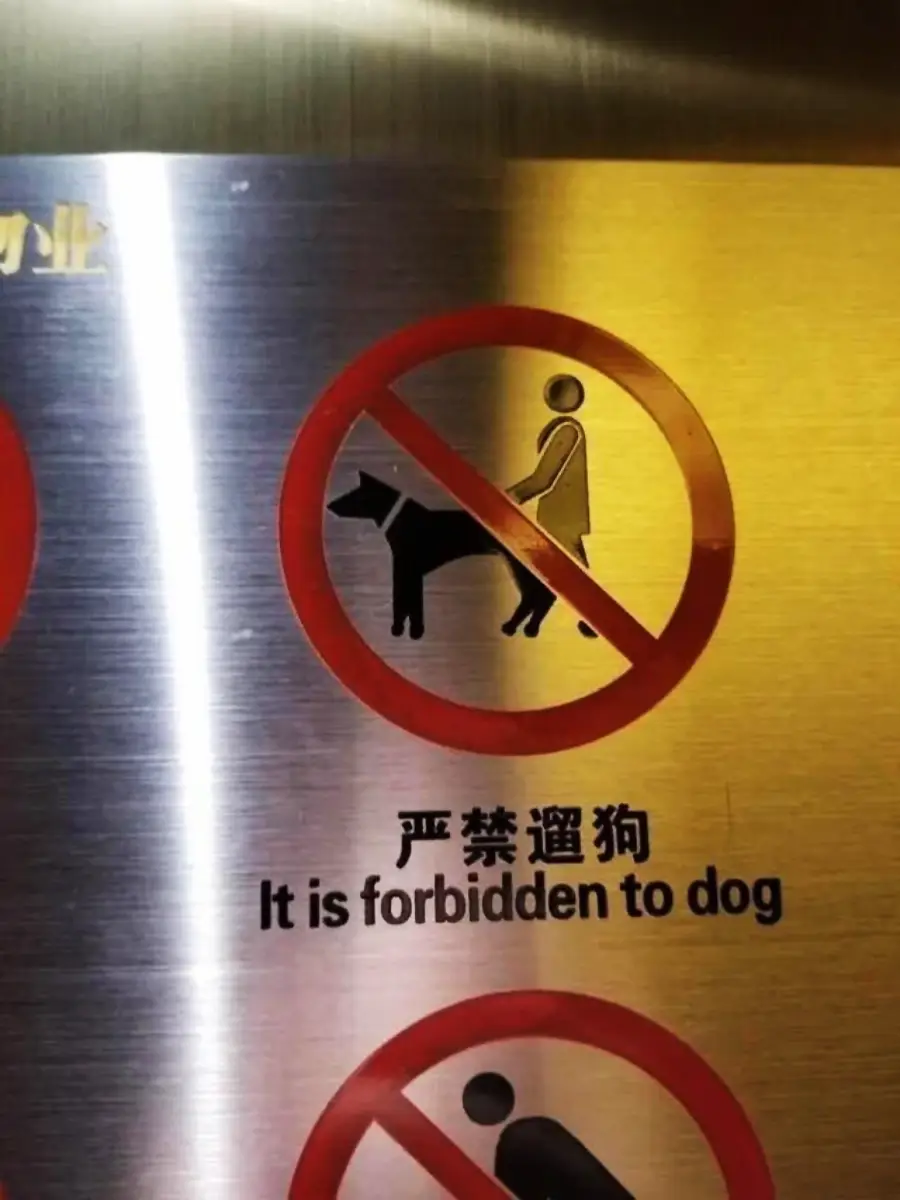 A metal sign with a red crossed-out circle over a person and a dog. Below, text reads, “It is forbidden to dog” with Chinese characters above.
