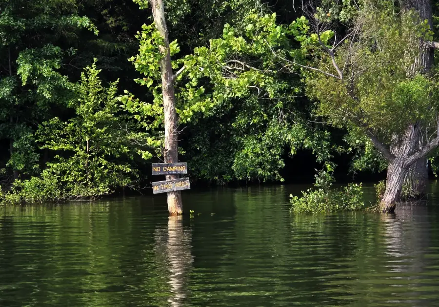 A “No Camping” sign is posted on a tree surrounded by floodwaters, with dense green foliage in the background.
