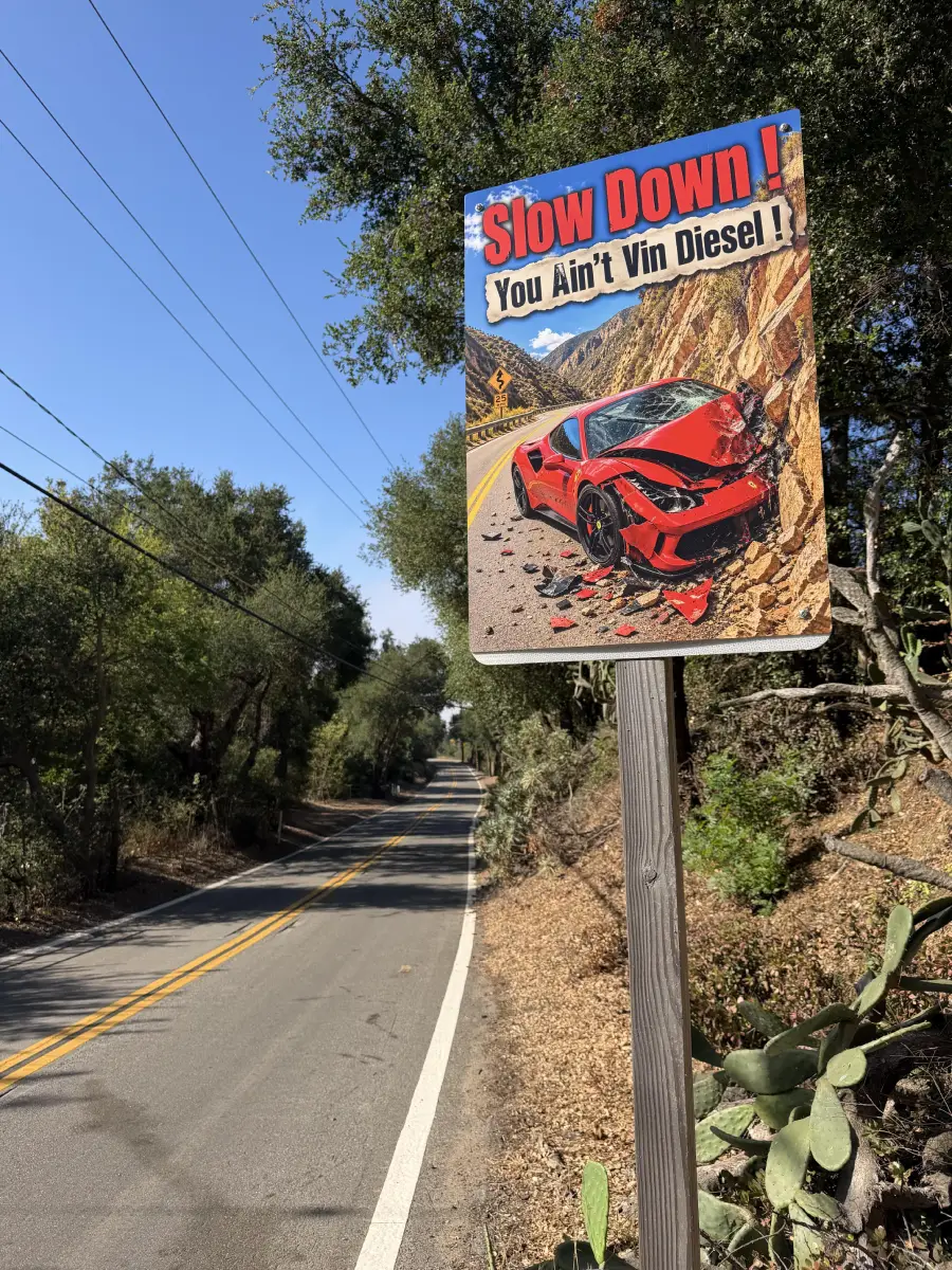 A road sign shows a wrecked red sports car with the text “Slow Down! You Ain’t Vin Diesel!” on a winding rural road bordered by trees and plants.