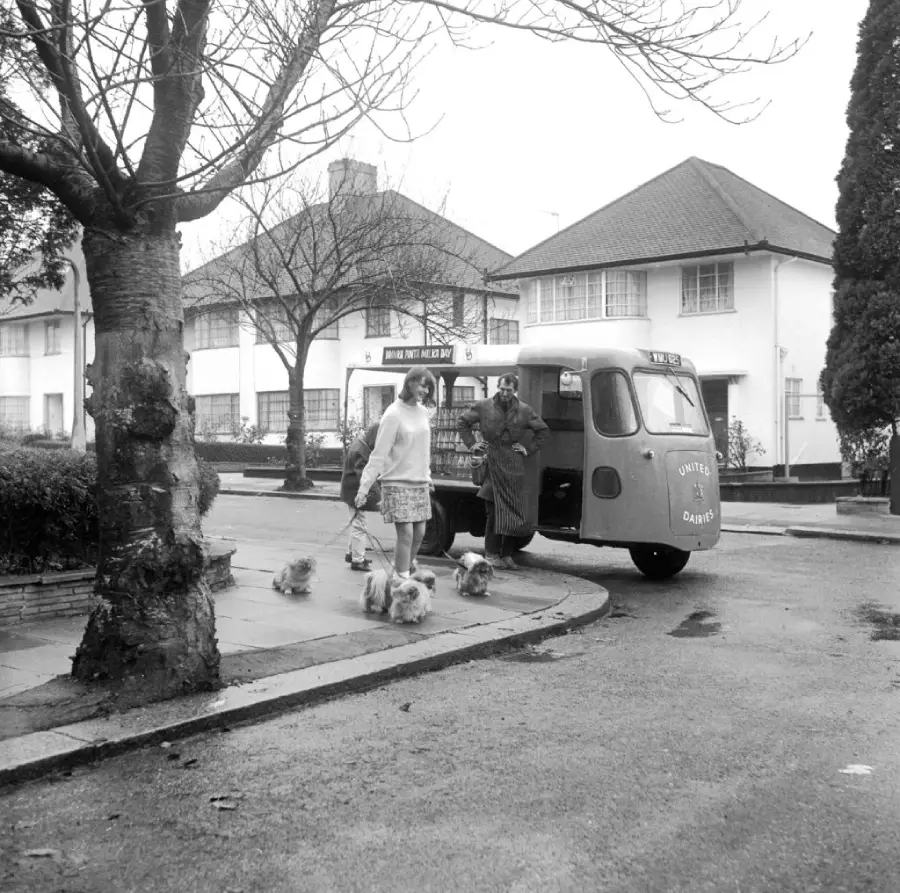 Two women stand beside a small delivery van labeled “United Dairies” on a suburban street. One woman walks several small dogs on leashes, while the other stands at the van’s open door. Houses and leafless trees line the background.