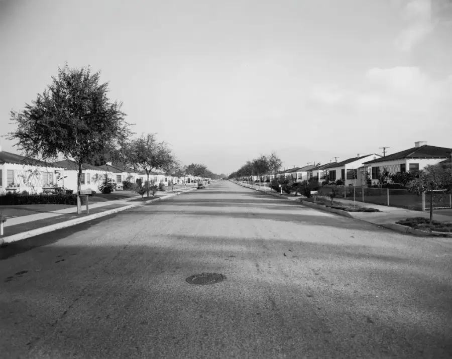 A wide, empty residential street stretches into the distance, lined with single-story houses, manicured lawns, and evenly spaced trees under a clear sky.