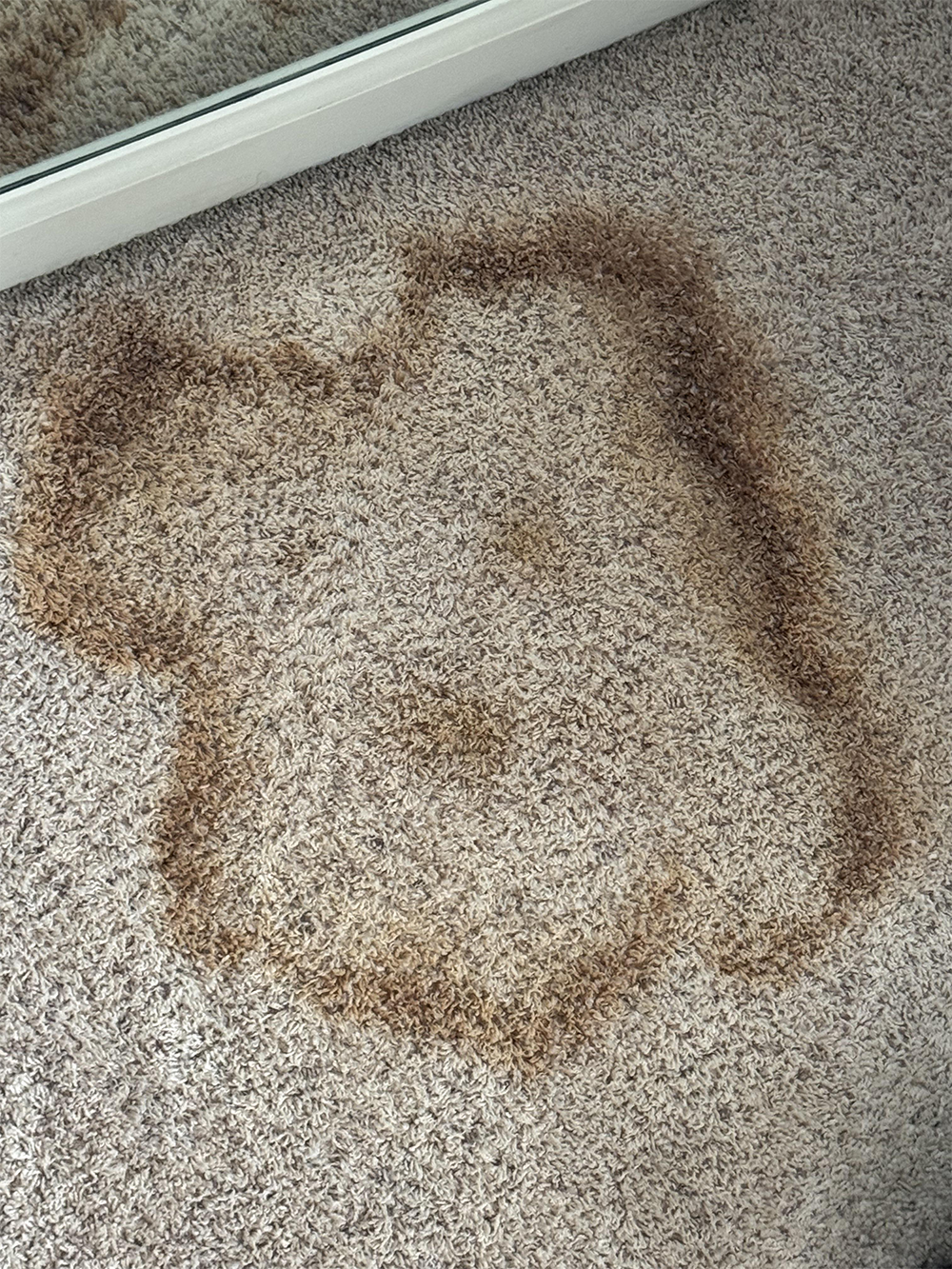 A beige carpet with a large, irregular brown stain in the shape of a rough circle, near the edge of a mirrored surface.
