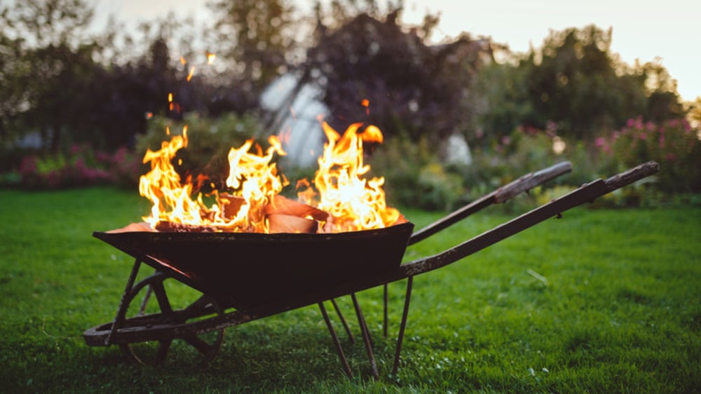A wheelbarrow filled with burning firewood sits on green grass outdoors, with trees and plants in the blurred background.
