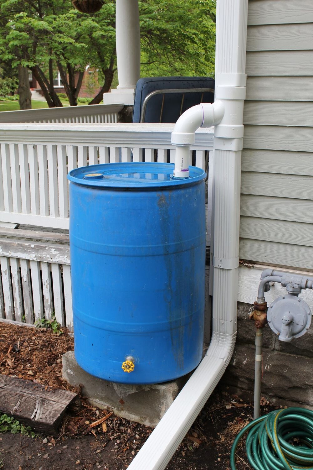 A blue rain barrel collects water from a white downspout attached to a house. The barrel has a spigot near its base and sits on concrete blocks beside a garden hose and a white fence.