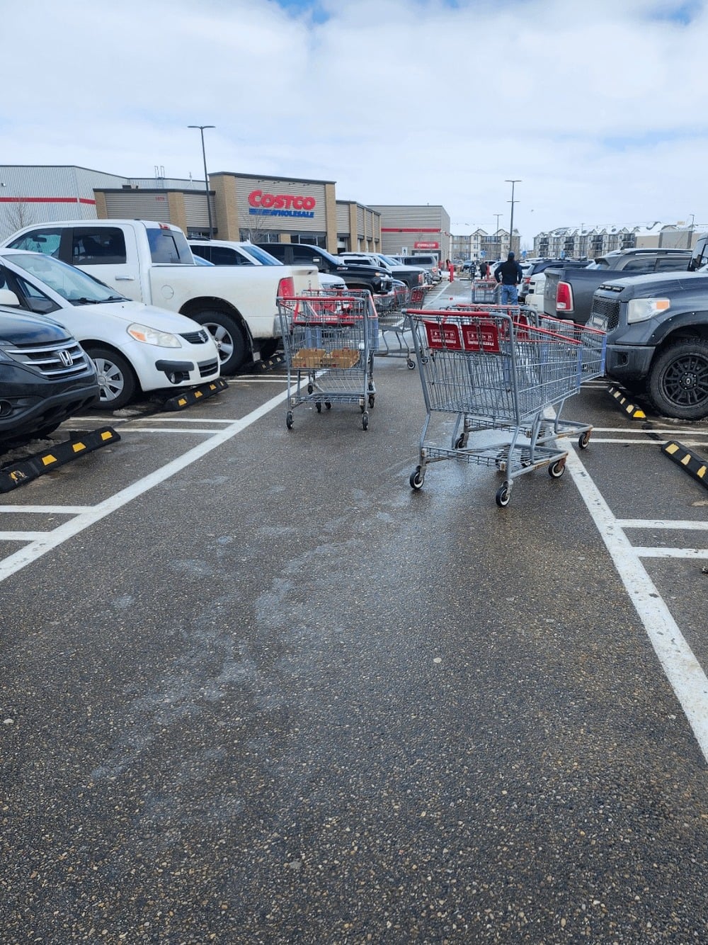 Three shopping carts are left in the middle of a wet parking lot near parked cars, with the Costco storefront visible in the background under a cloudy sky.