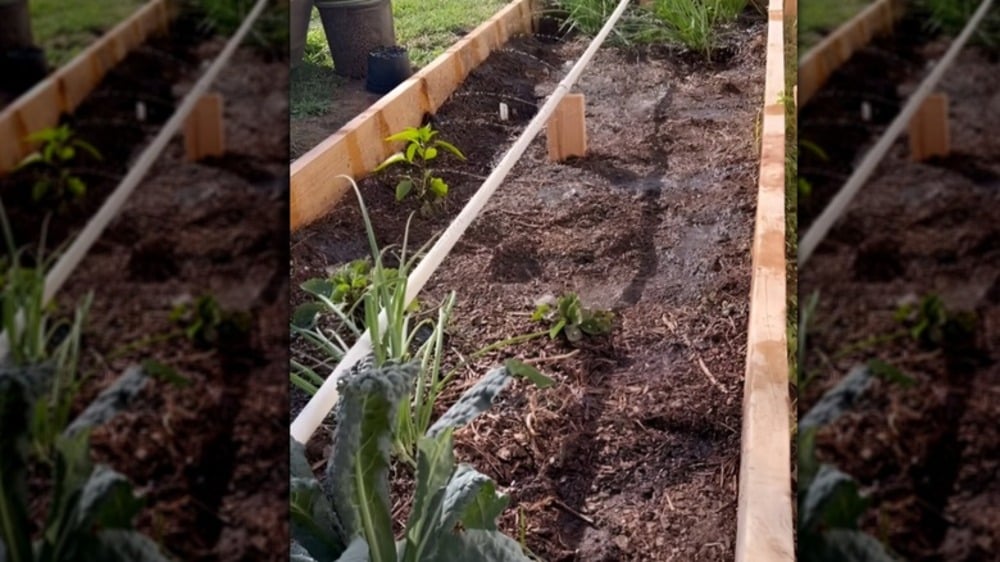 backyard engineering