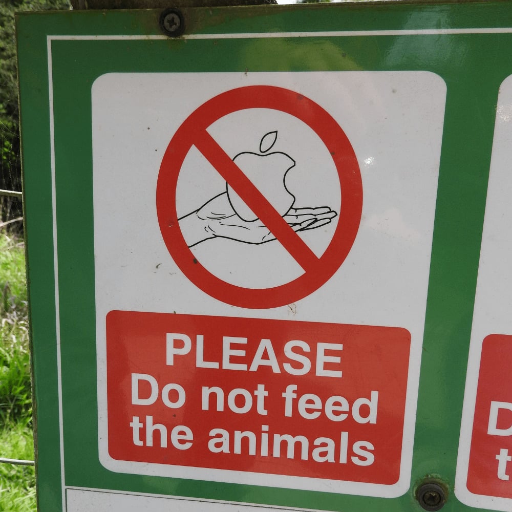 Do not feed the animals sign