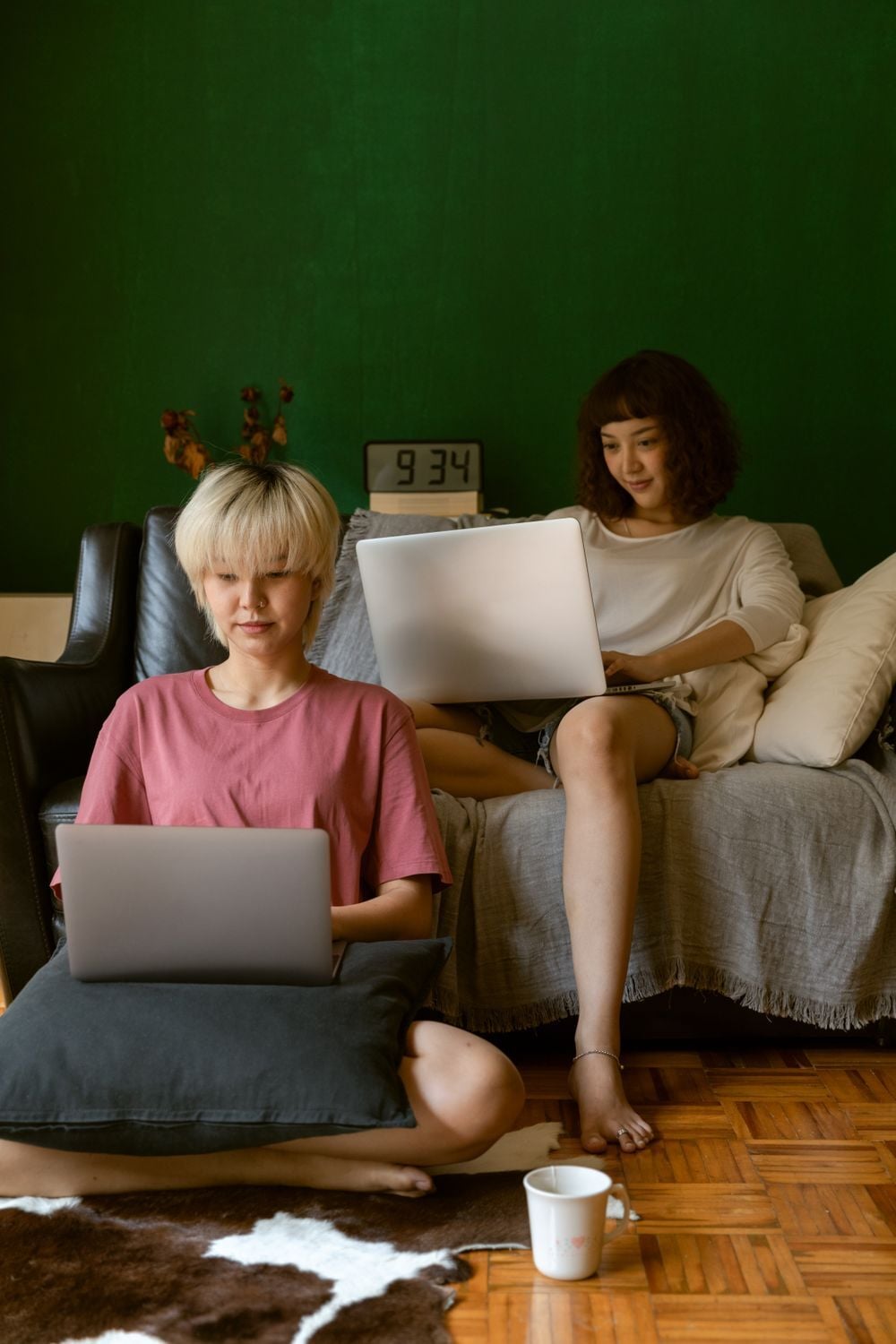 People working from home on laptops