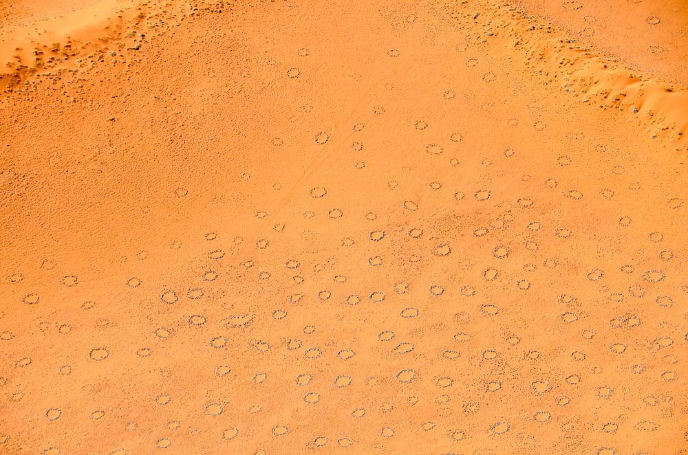 Aerial view of orange desert sand dotted with dozens of circular barren patches known as “fairy circles,” with scattered vegetation and small dunes in the background.
