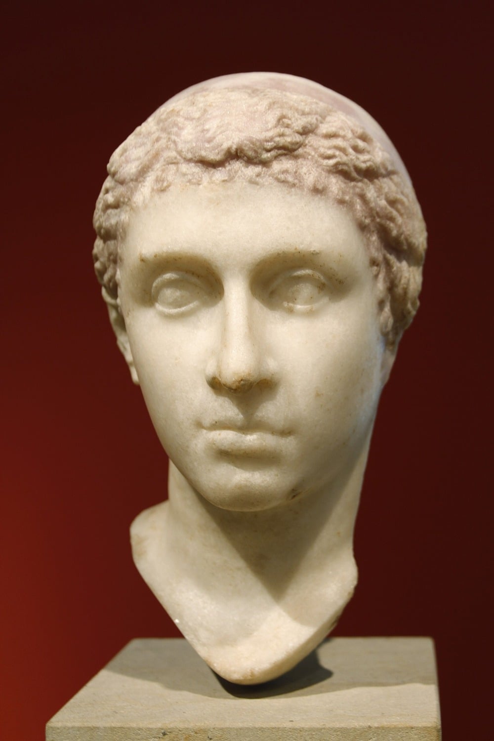 Marble bust of a person with wavy hair, realistic facial features, and a neutral expression, displayed on a simple pedestal against a reddish background.