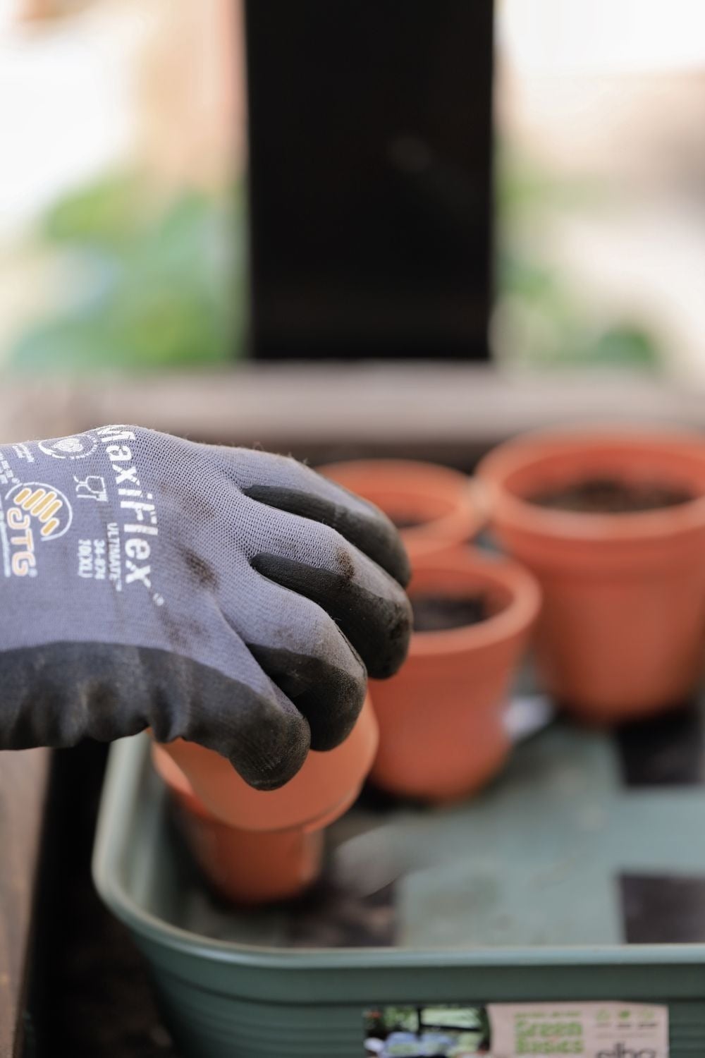 Gardening and planting