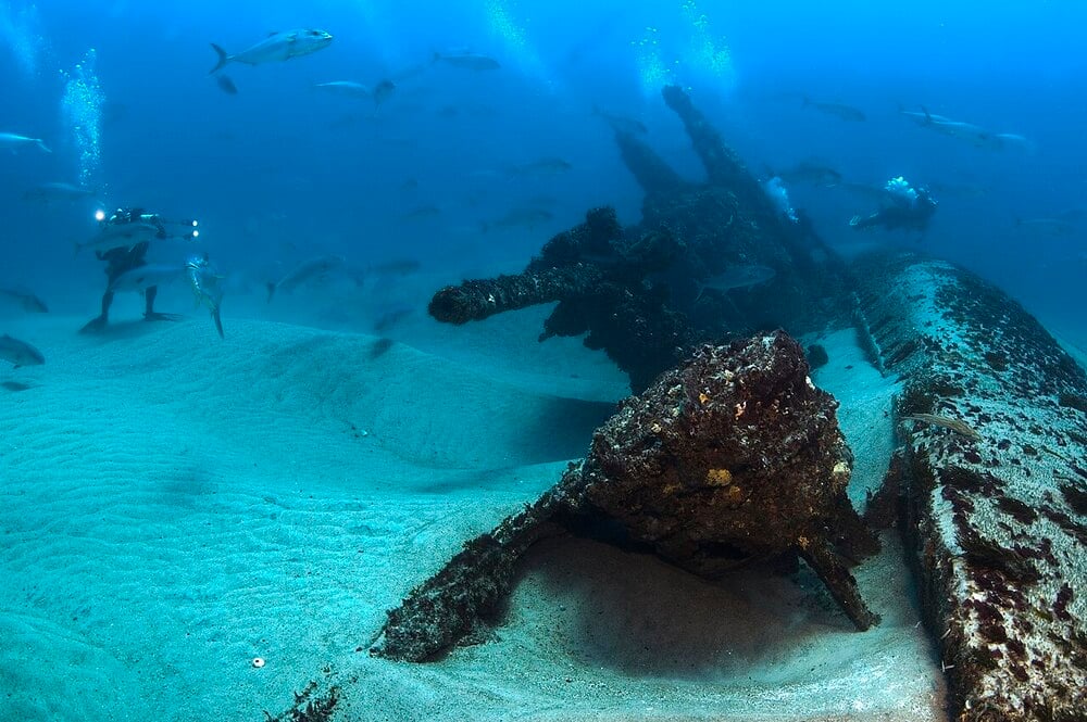Divers explore a shipwreck on the ocean floor.