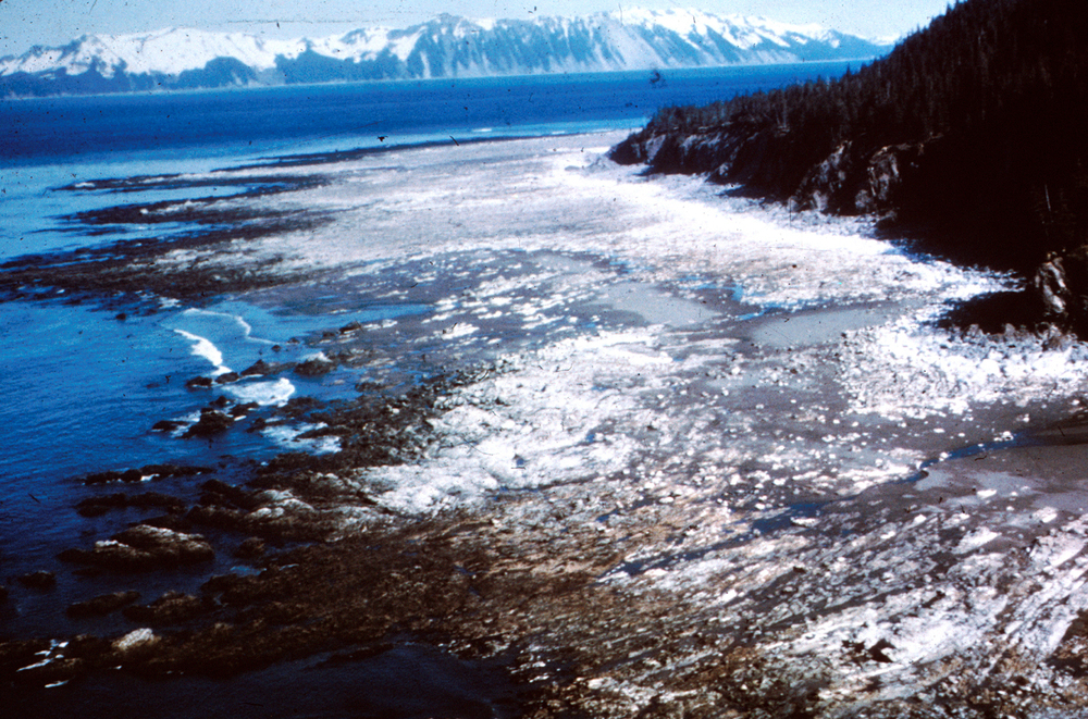 A rocky coastline with patches of ice and snow, bordered by forested cliffs, with snowy mountains across the water under a clear sky.