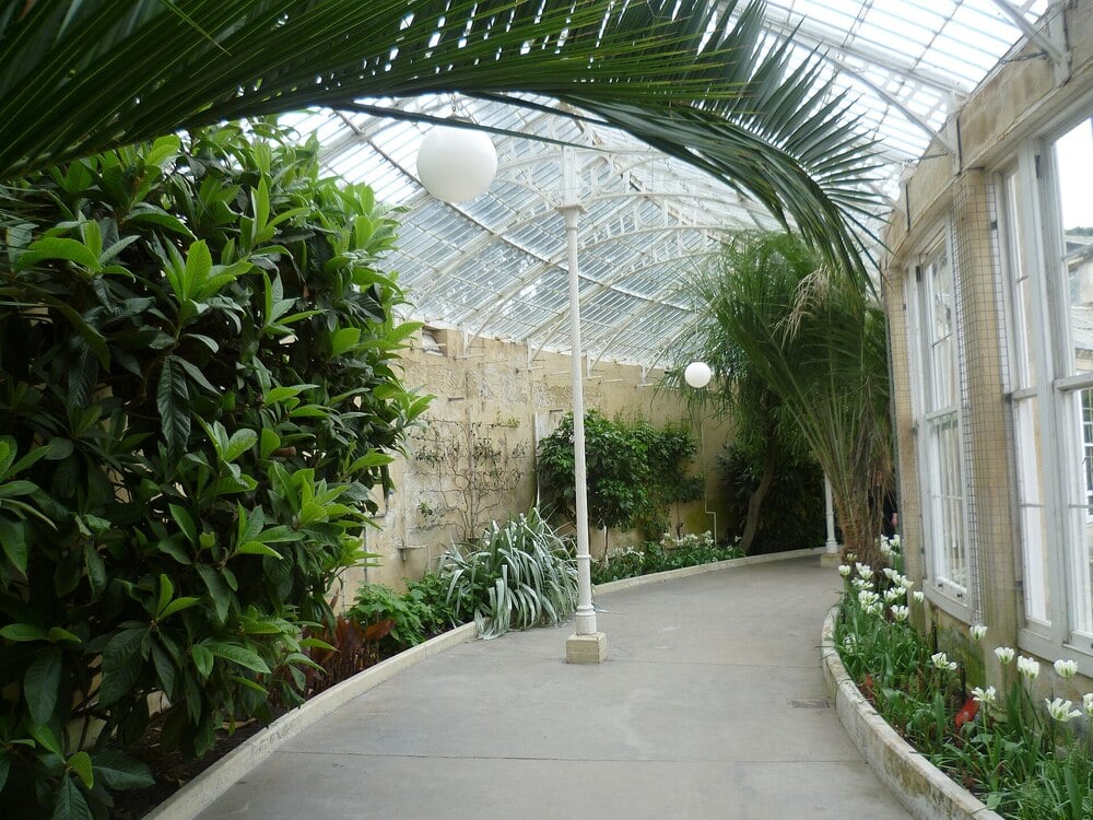 A bright historic conservatory with glass walls, a glass roof, and lush plants.